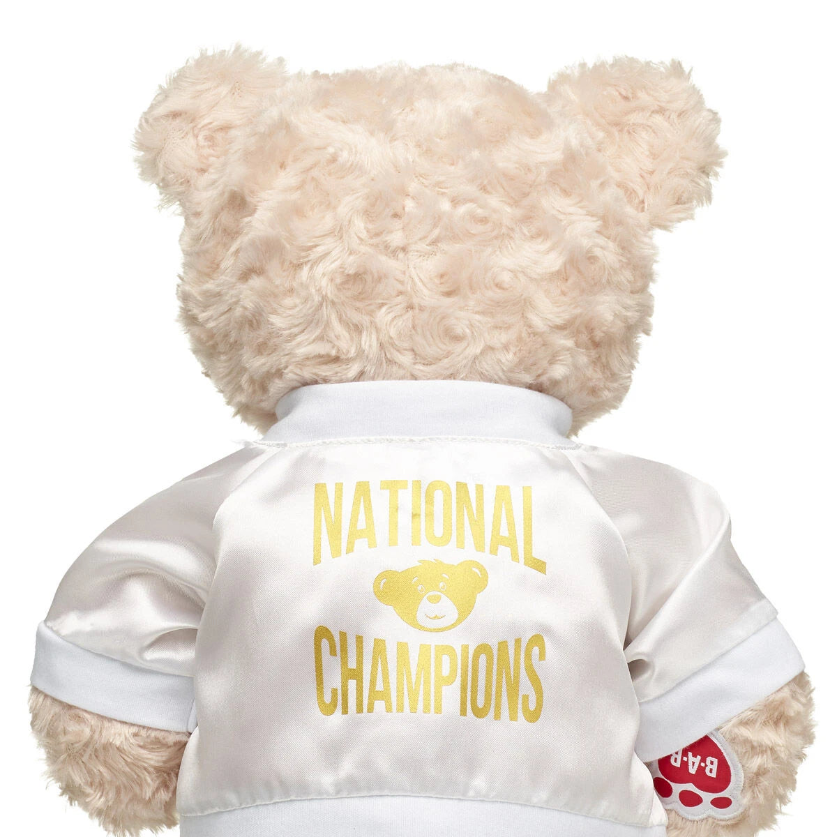 Varsity Spirit National Champions Jacket | Build-A-Bear® - US 1941