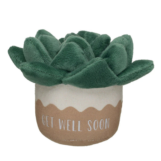 HB GET WELL PLANT - US 3251
