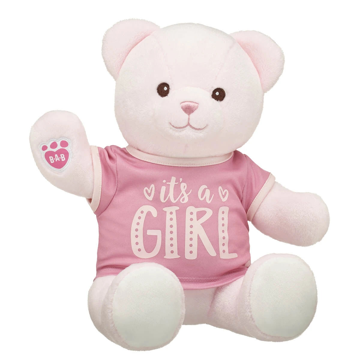Baby Pink Teddy Bear "It's a Girl" Gift Set | Build-A-Bear® - US 2679