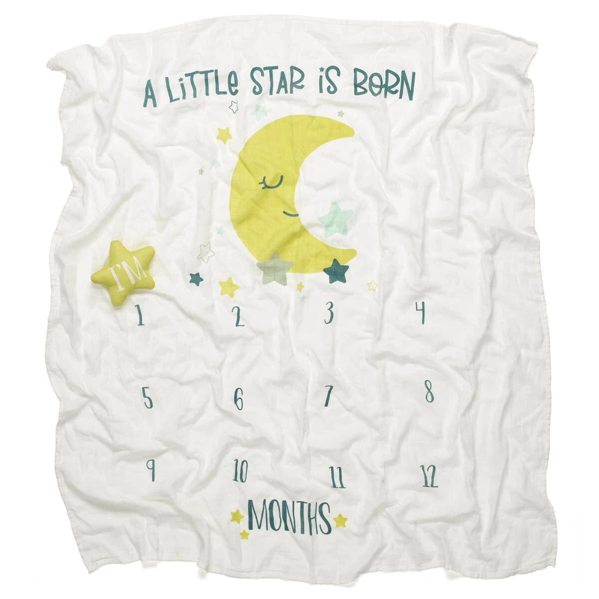 Monthly Milestone Baby Blanket | Build-A-Bear® - US 0173