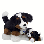 Promise Pets Bernese Mountain Dog Stuffed Animal Mini Beans Gift Set | Build-A-Bear - US 5331