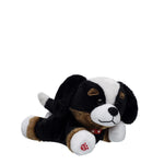 Build-A-Bear Mini Beans Promise Pets Bernese | BAB - US 2378