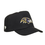 Baltimore Ravens Fan Hat for Stuffed Animals - US 5921