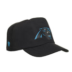 Carolina Panthers Fan Hat for Stuffed Animals - US 9712