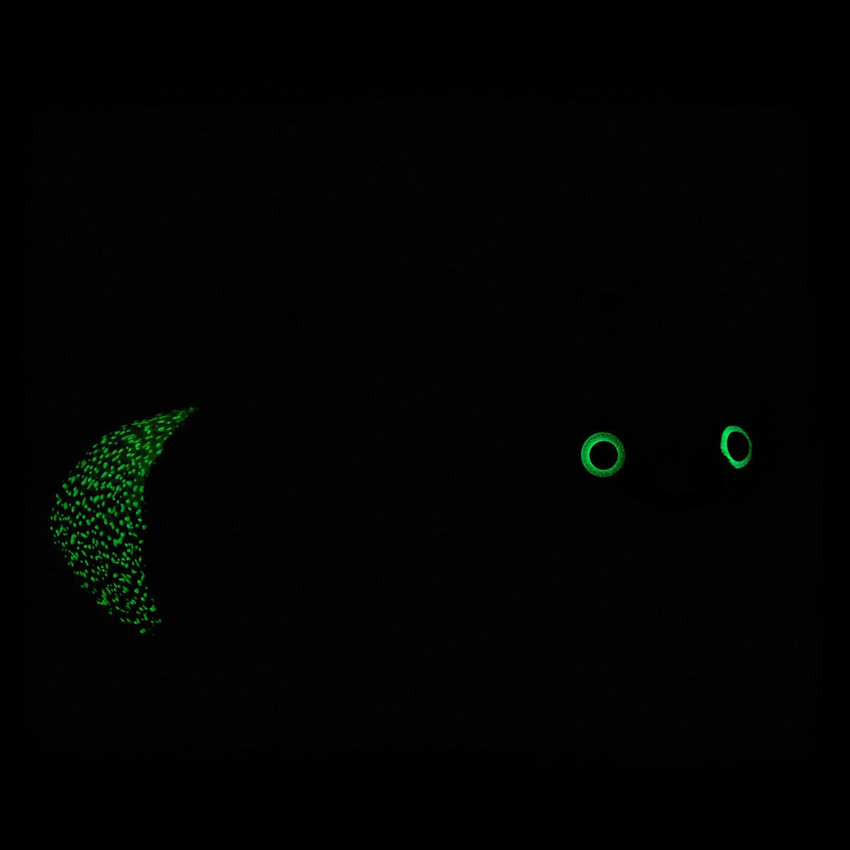 Glow-in-the-Dark Lightning Bug Stuffed Animal | BAB - US 3225